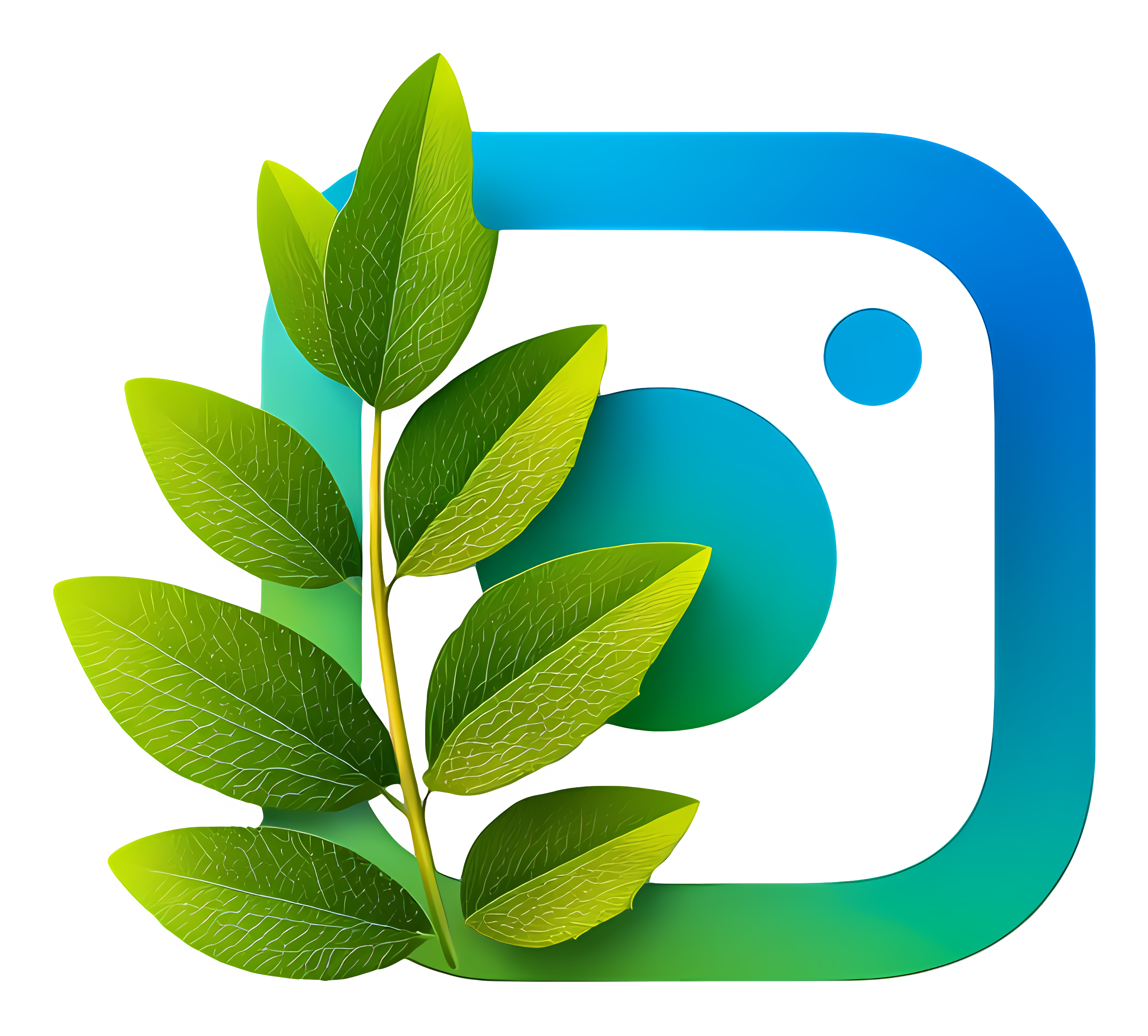 Instagram Logo with Leaf Design