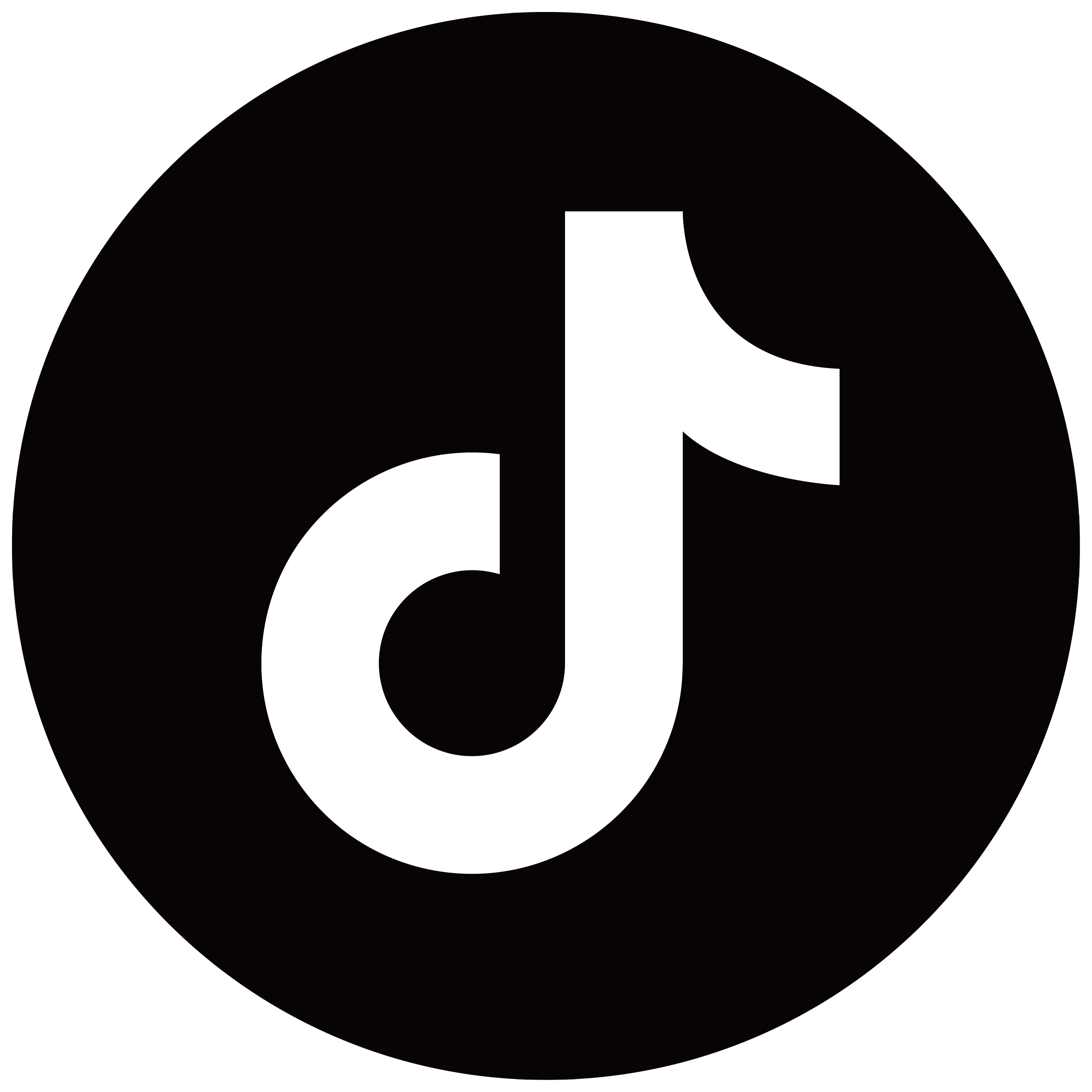 TikTok Icon Representing Social Media