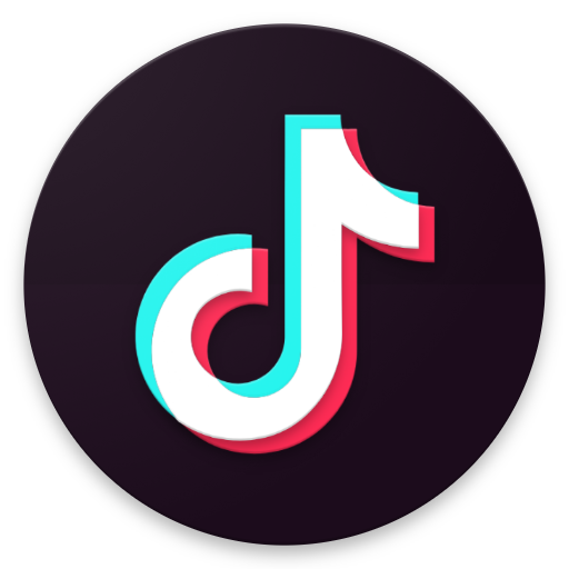 TikTok Logo Icon